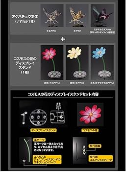 Amazon.co.jp: いきもの大図鑑 アドバンス アゲハチョウ ミヤマ